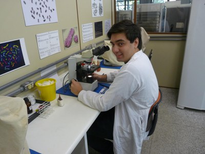 Pedro microscopio